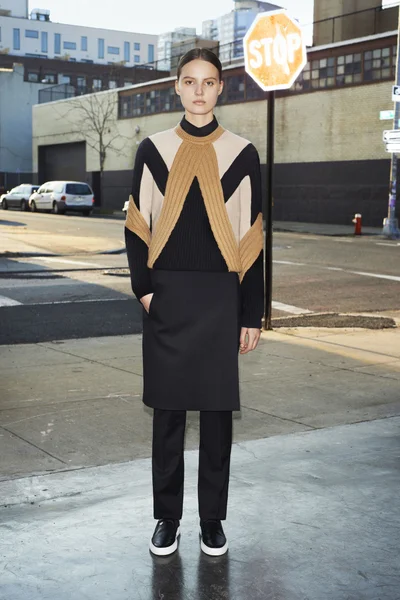 Look 14